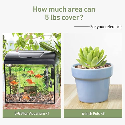 Miniatura 4 de GASPRO Grava de guisantes para acuario, pecera, 5 libras, arena natural de guijarros de 15 pulgadas para plantas, suculentas, cactus, textura mate,