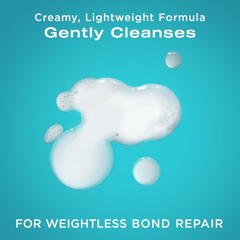 OGX Bond Protein Repair Bundle: Pre-Shampoo, Shampoo, & Hair Serum, Lightweight, Targeted Repair for Softer, Smoother Hair, 3 Pieces (8.4 fl oz, 13 fl oz, 1.7 fl oz)