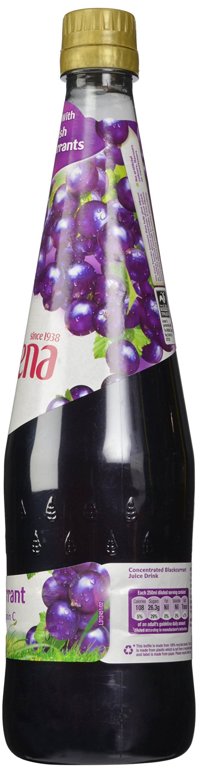 Amazon.com: Ribena Blackcurrant Concentrate Bottle, 1 L, 3 Pack : Grocery &  Gourmet Food