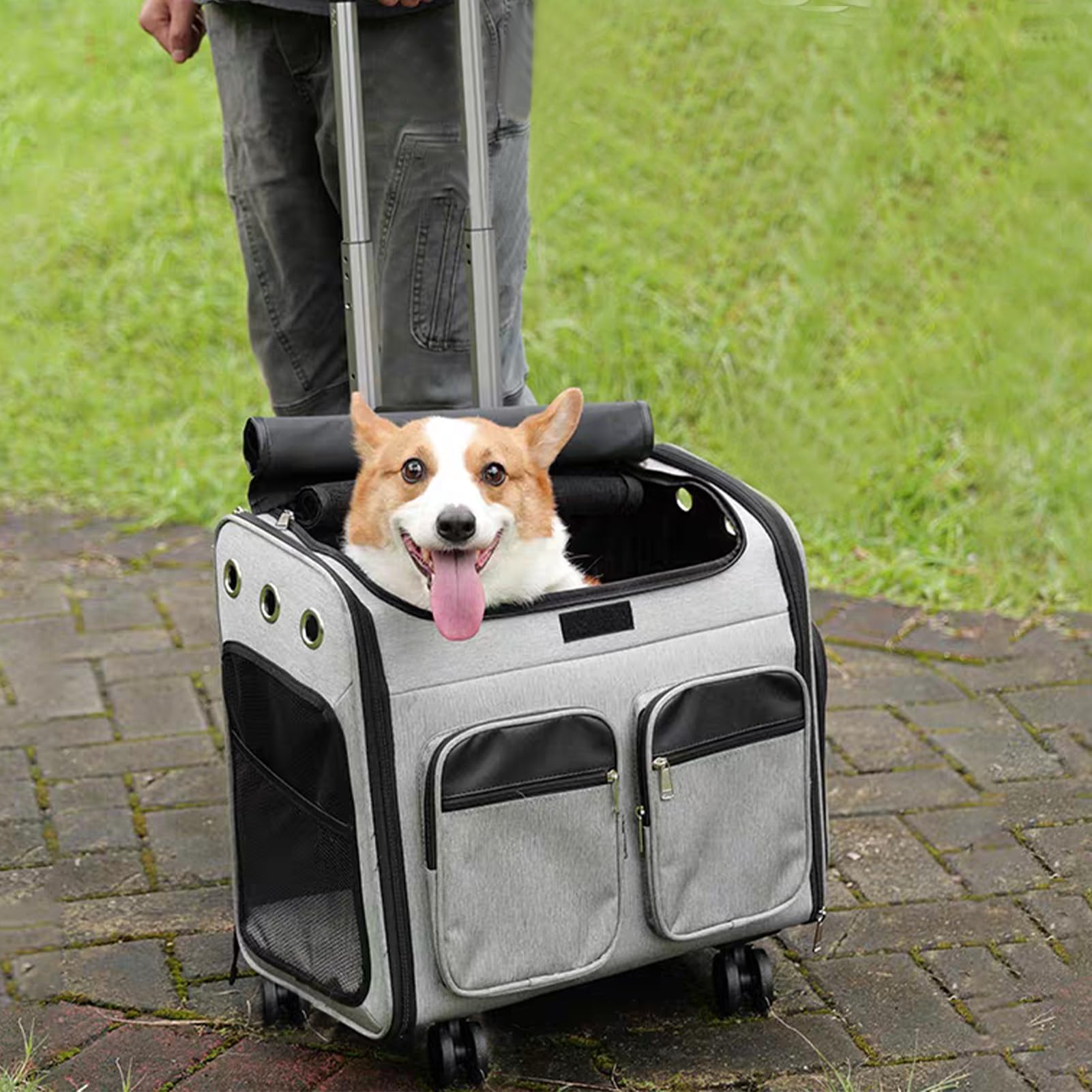 Zaino pieghevole con 5 ruote girevoli e base grande, carrello per bagagli con cinghia per bagagli, carrello pieghevole in lega di alluminio per trasportini per animali domestici, zaini per cani,