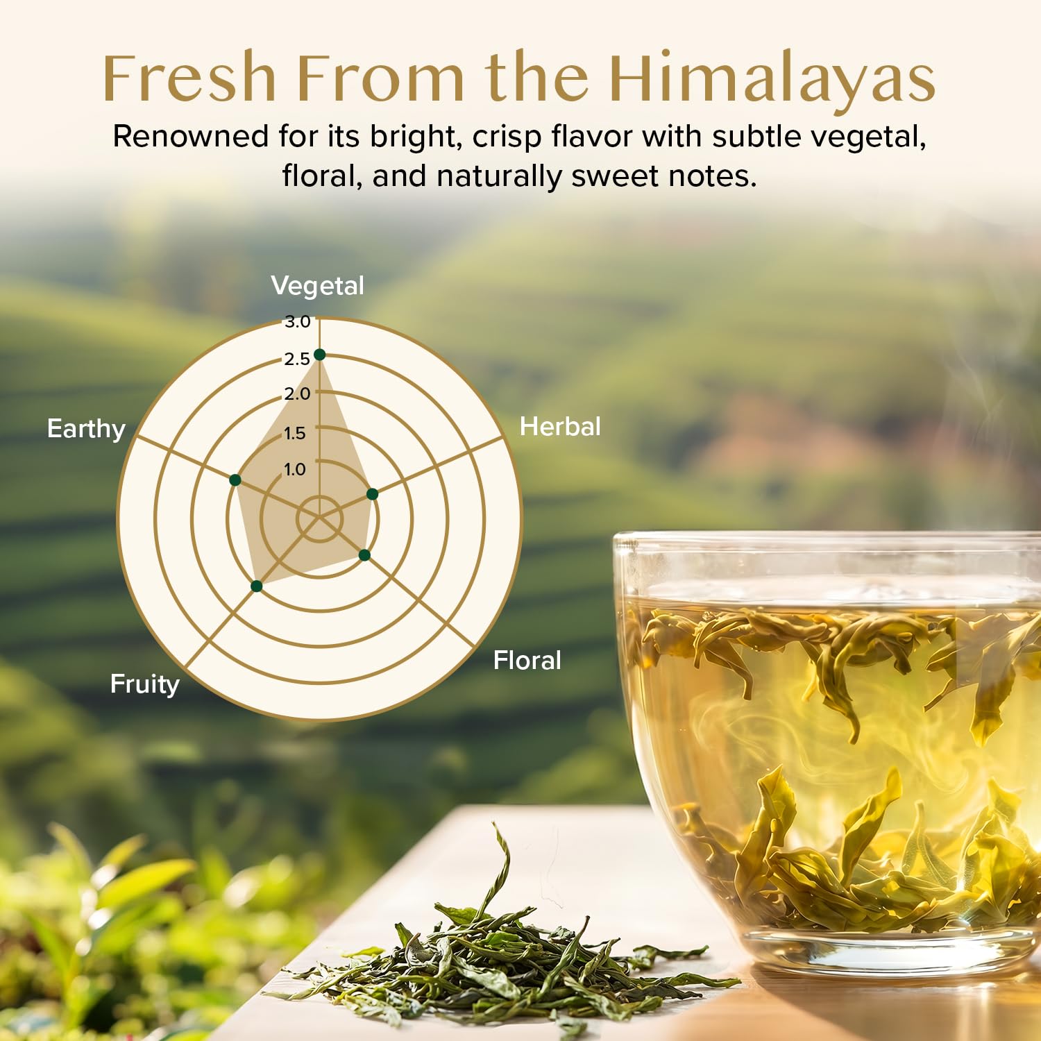 VAHDAM Hojas de té verde de Himalaya 340g Té verde de hojas sueltas cosecha fresca