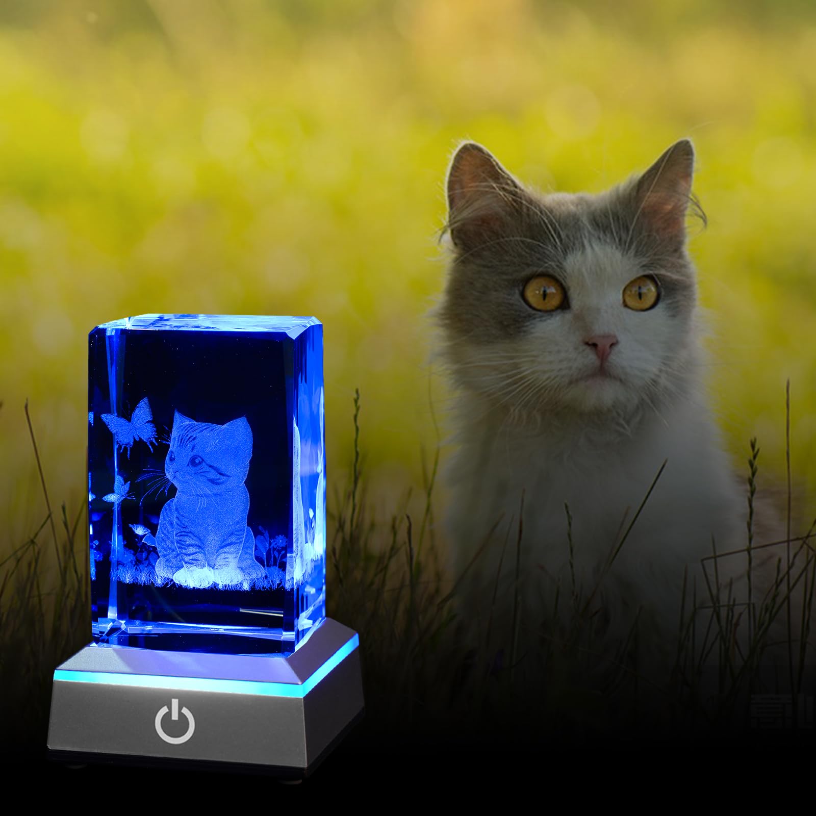 Luz nocturna de cristal 3D con base LED multicolor grabada con láser, regalo para mujeres, amantes de los gatos, cumpleaños, Navidad, decoración de habitación