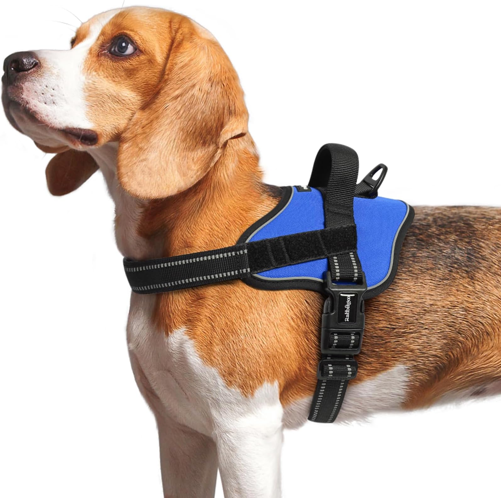 Dog Harness Medium Sized, No Pull No Choke Pet Vest, Easy Wearing with One Buckle, Reflective, Adjustable Pet Harness with Molle for Walking, Training, Blue, M