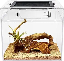 Reptile Growth Terrário para répteis, 20,32 x 20,32 x 20,32 cm, tanque de répteis com visão completa visualmente atraente, terrários de répteis para leopardo lagartixa caranguejo eremita barbudo dragão lagarto cobra aranha sapo