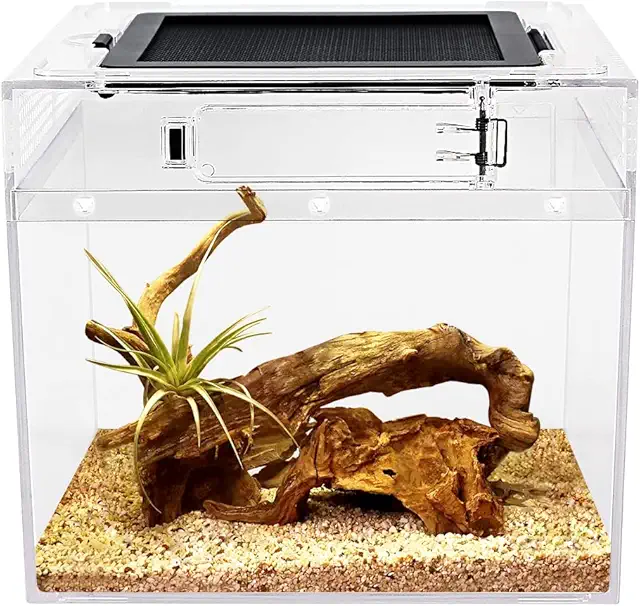 Insecten Terrarium: Mini Reptile Tank 8x8x7 inch met Schuifdeur voor Gecko, Spin & Hagedis