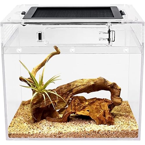 Mini Reptile Terrarium,8" x 8"x 8" Reptile Tank with Full View Visually Appealing，for Insect，Fish，Tarantula，Hermit Crab，Jumping Spider，Iguana，Tortoise，Leopard Gecko，Frog，Bearded Dragon
