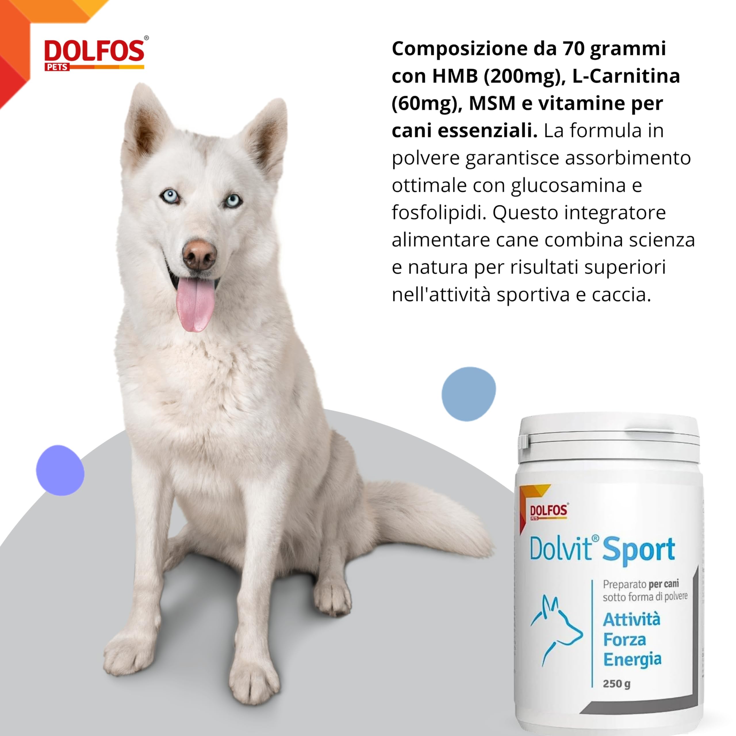 Dolvit Sport Integratore per Cani da Caccia, Sportivi o da Lavoro Multivitaminico - 250 Grammi Polvere - Consigliato per Dog Agility e Cani da soccorso