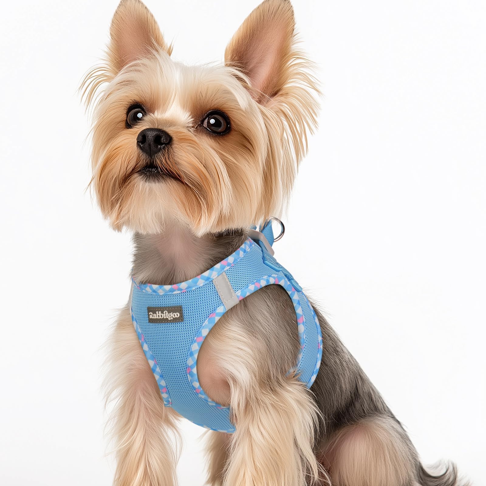 rabbitgoo Dog Harness Small Dog, Step-in Soft Mesh Puppy Harness with Reflective Strips, Lightweight Breathable Pet Vest for Walking Training, Blue & Plaid Trim, XS
