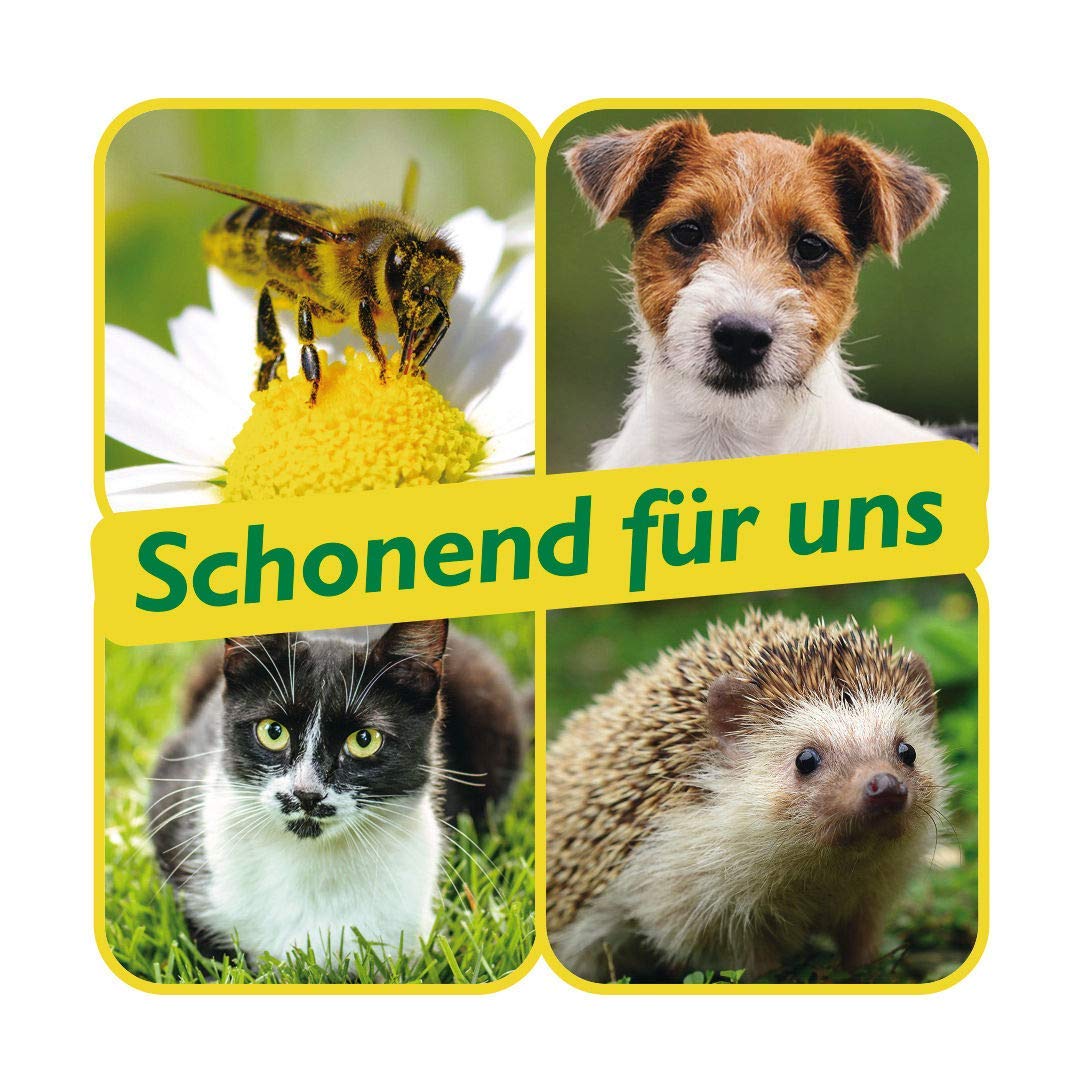 NEUDORFF Azet HerbstRasenDünger 20 kg - Rasendünger mit Sofortwirkung im Herbst und Langzeitwirkung für das Frühjahr