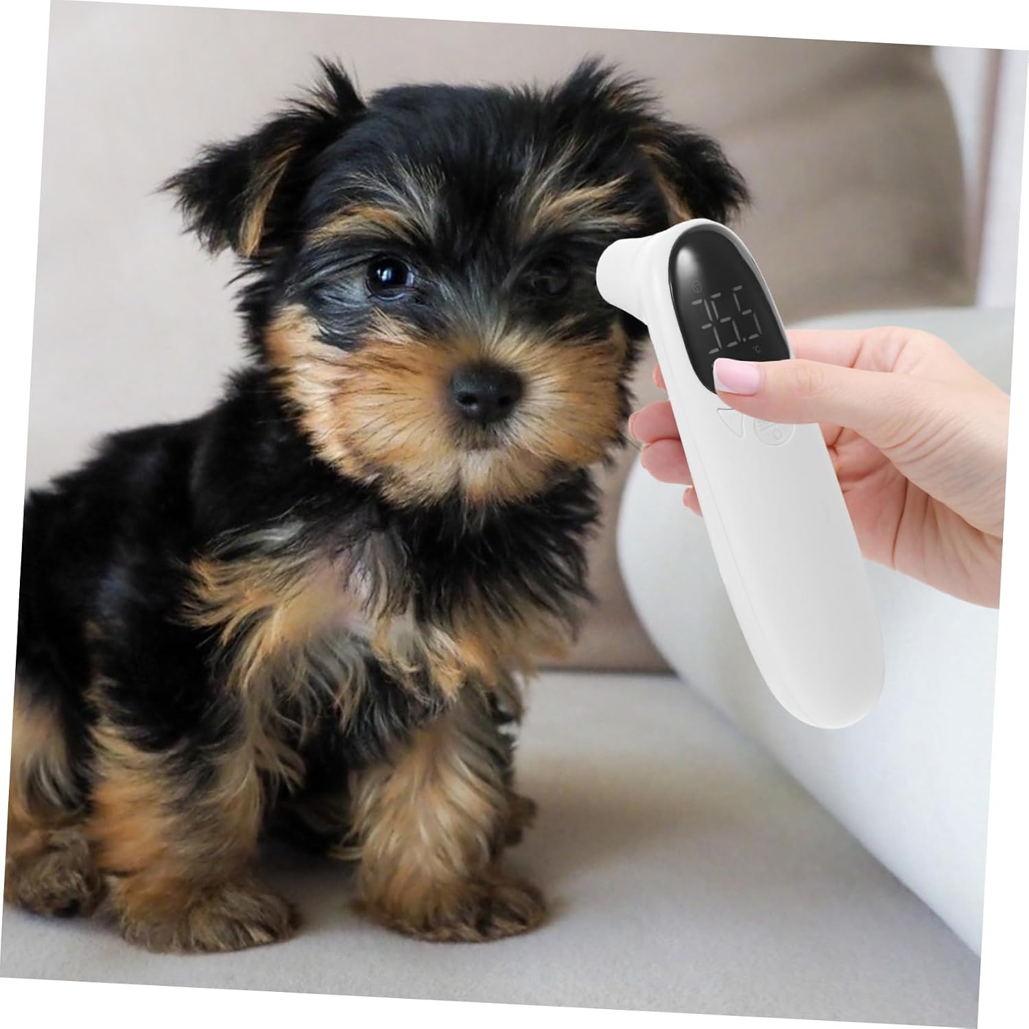 COLLBATH Cat Dog Thermometer Rechargeable Non-Contact Ear Thermometer Accurate Pet Supply for Outdoor Use