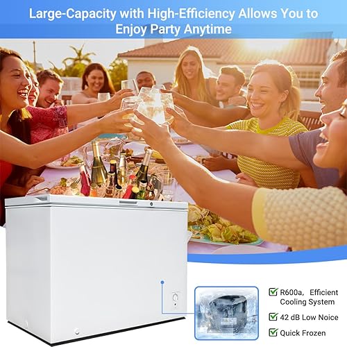 Miniatura 5 de Smad Chest Freezer 10.5 Cu.Ft, Large Deep Freezer with 3 Removable Basket and Lock, Adjustable Thermostat, Low Noise, Perfect for Home, Kitchen,