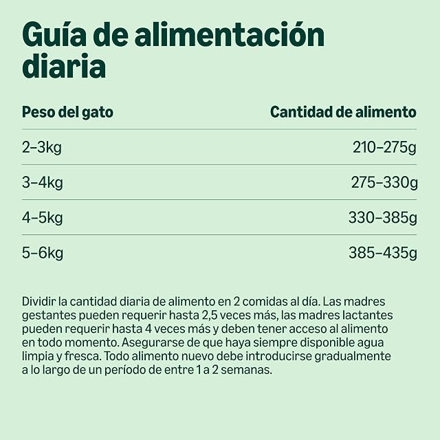 Foto 4 de 8 de by Amazon - Comida húmeda sin cereales para gatos - Lata - Paté de ternera, 6 x 400 g