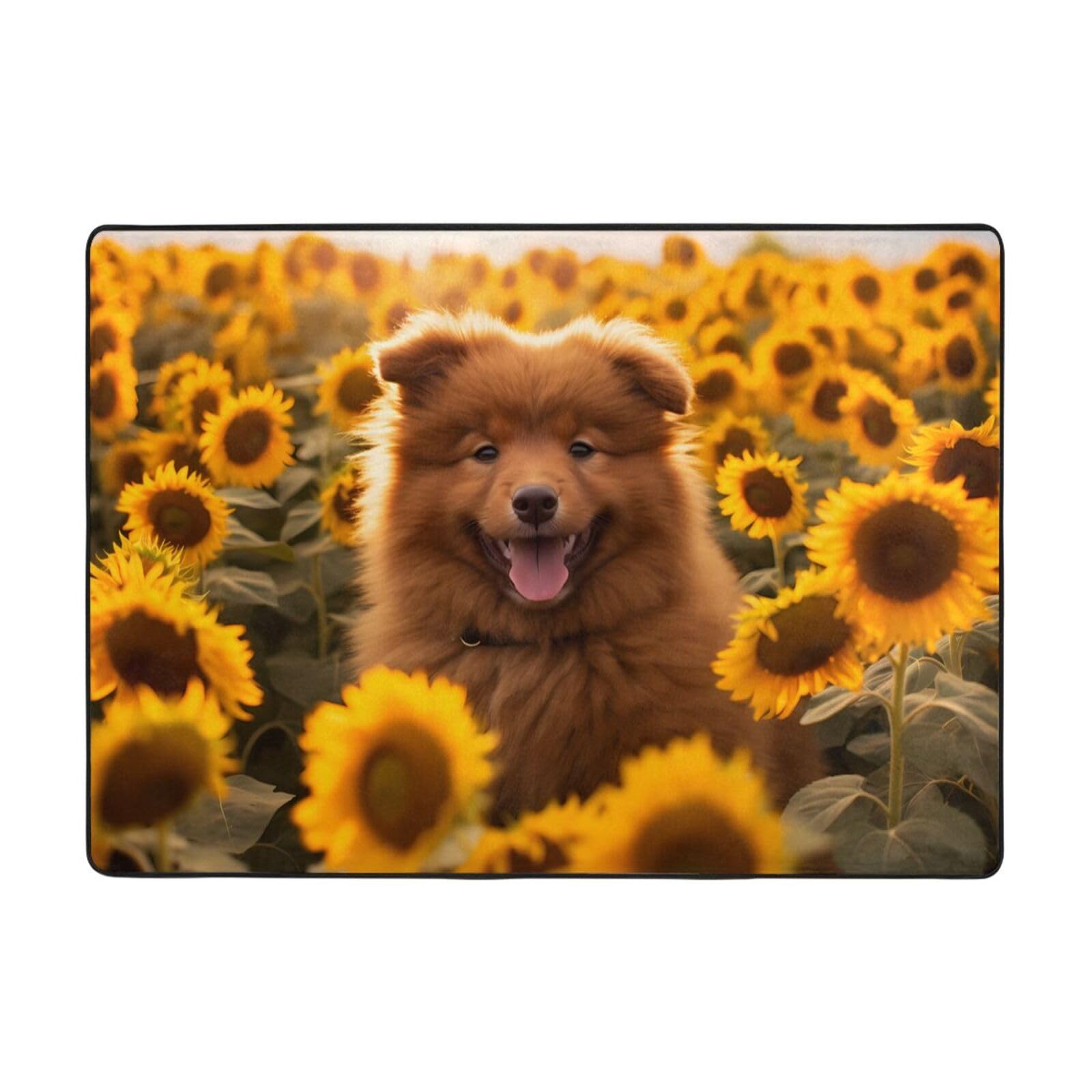 Tapis caniches mignons 203x147 cm imprimé doux grand format salon table basse
