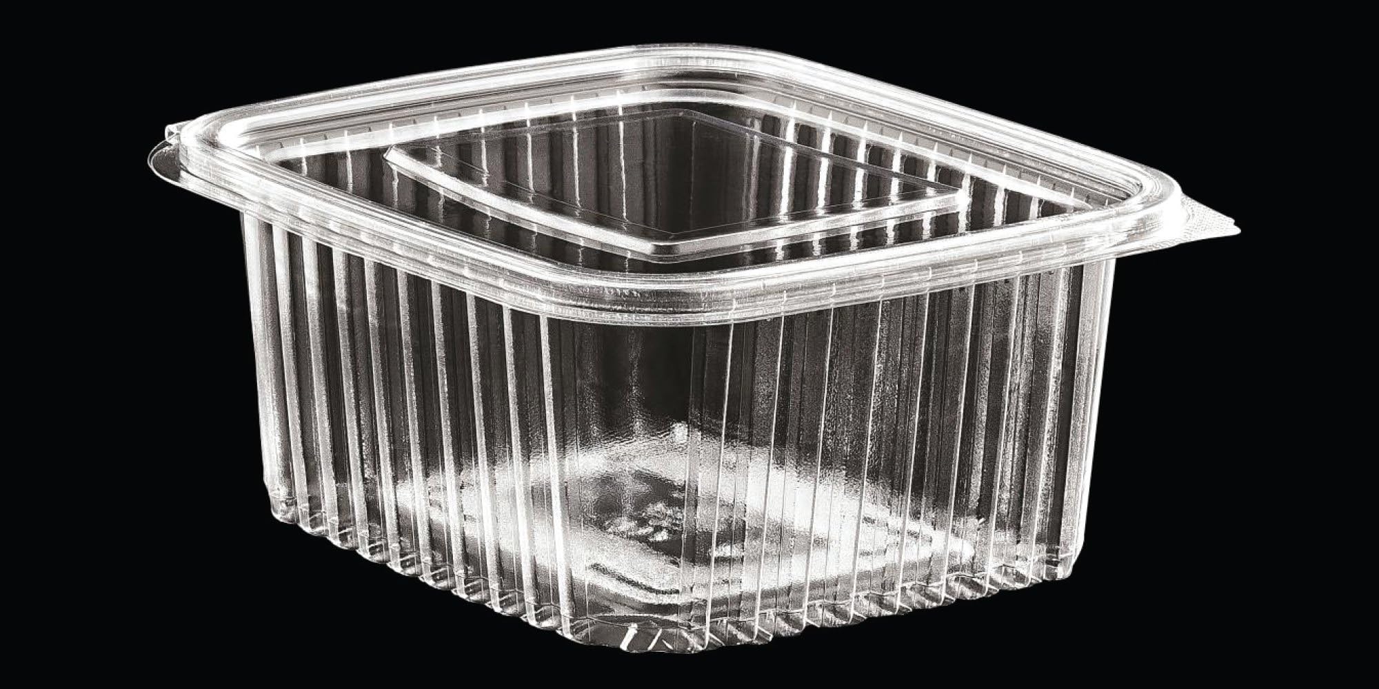 150 ml Reusable Transparent Food Packaging container | Eco Friendly | Durable | With Attached Lids (10, 150ml, Rectangular, 150.00, Milliliters)