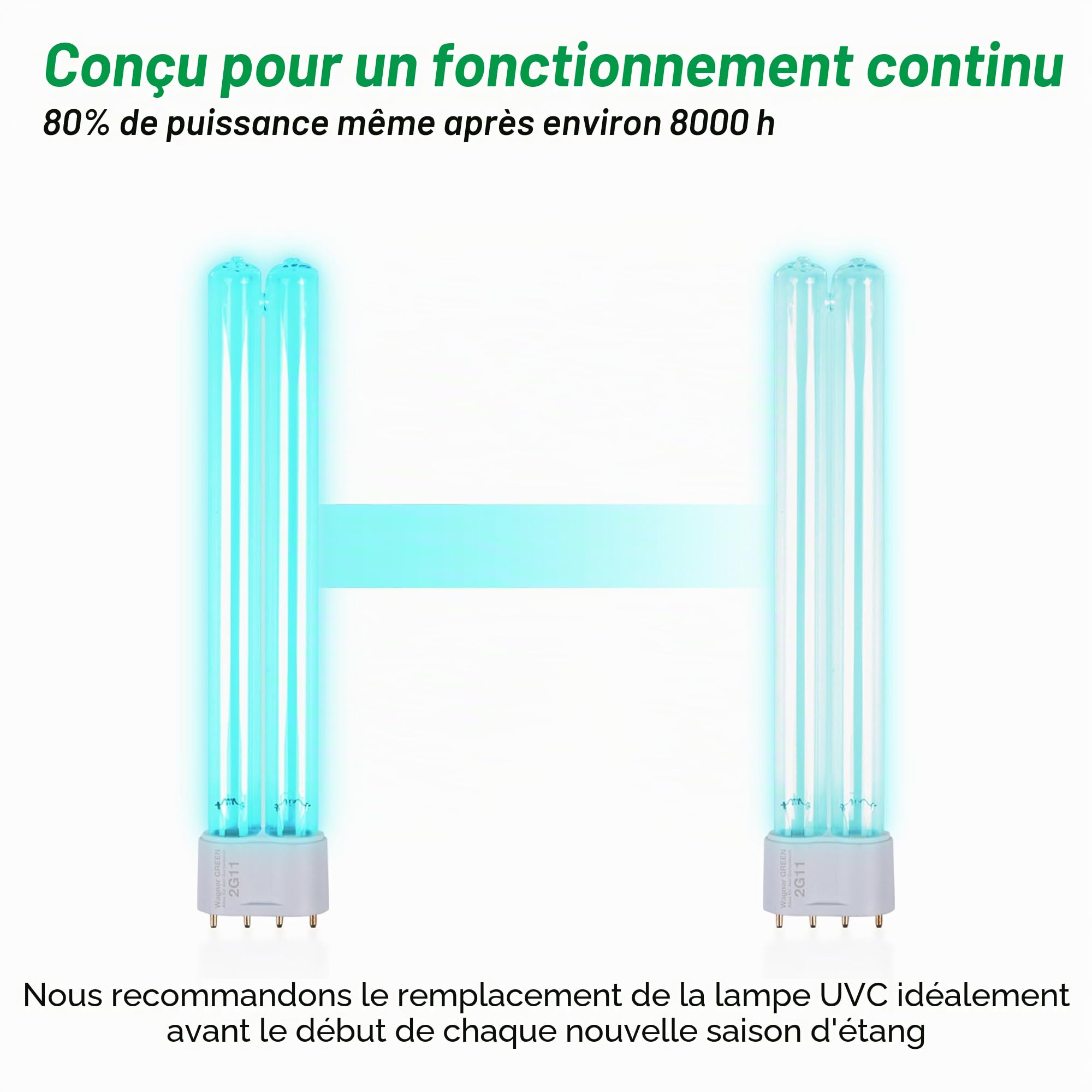 Wagner Green Lampe de rechange UVC 2G11 PL-L pour clarificateur d'eau et filtre de bassin (18 W)