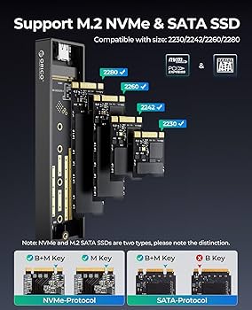 Amazon.com: ORICO Y20M 4TB M.2 SATA SSD and M2PVM USB 3.1