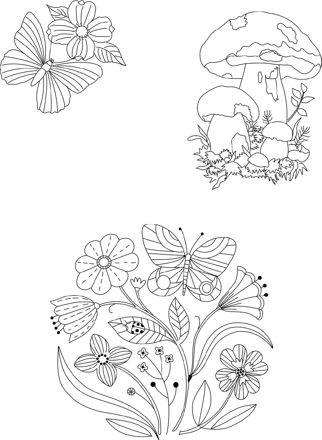 Trish Burr’s Nature Embroidery Transfers: 75 iron-on designs