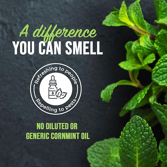 Mighty Mint Peppermint Oil Rodent Repellent Spray Natural Indoor & Outdoor Control for Mice and Rats Plant-Based, Extra-Strong Formula - 16 oz