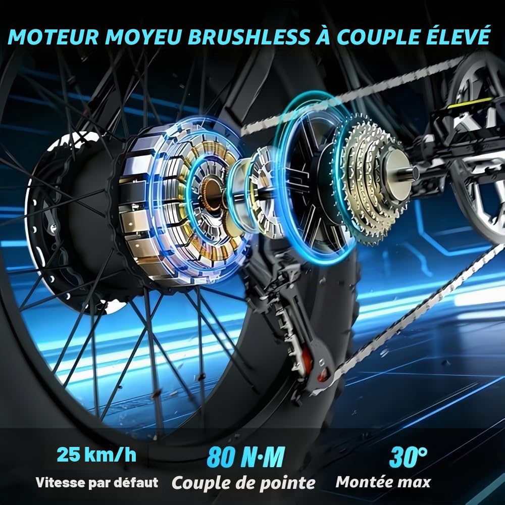 BK20 Vélo électrique Adulte 48V 20Ah Normes CE et EN 15194, Portée 60-100Km, Vélo électrique 20 Pouces Tout Terrain, Double Suspension 7 Vitesses, Double Frein à Disque