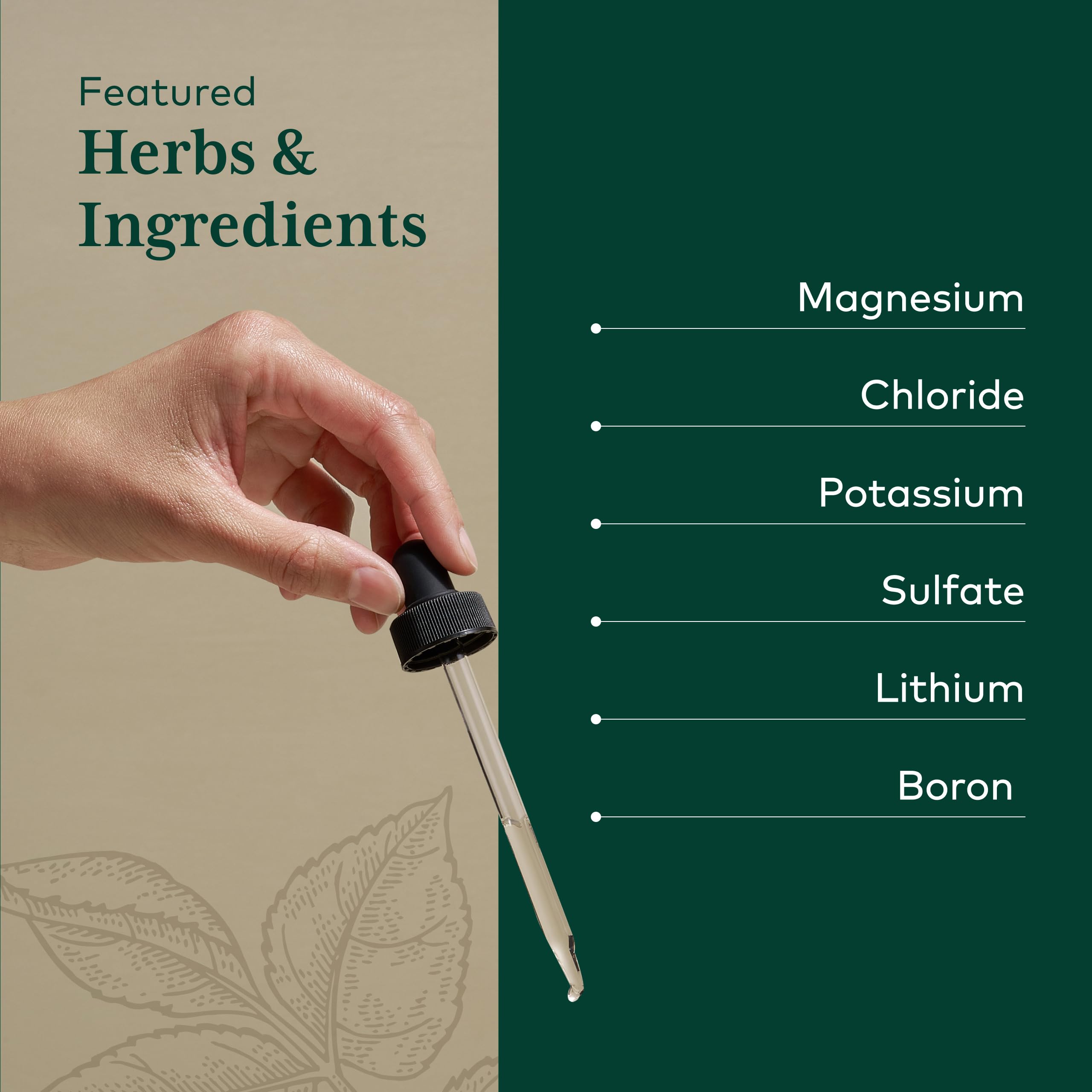 Gaia Herbs PRO Liquid Magnesium with Trace Minerals, 4 fl oz, 48 Servings — Amazon image 4