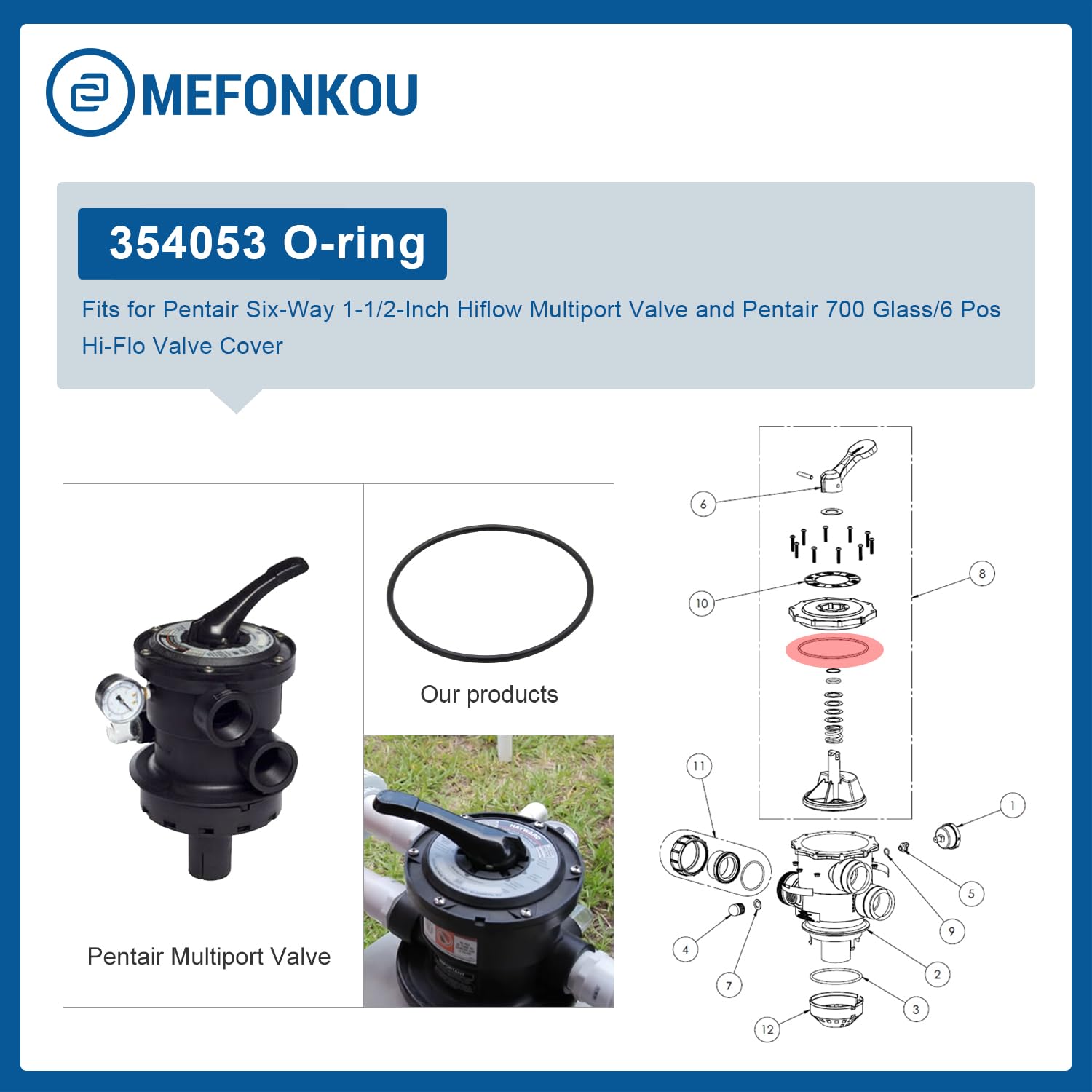 法螺貝　ＮＯ−４９Ｓ
ホラ貝、和太鼓、修験道 615dv6h4R7L._UF894,1000_QL80_.jpg