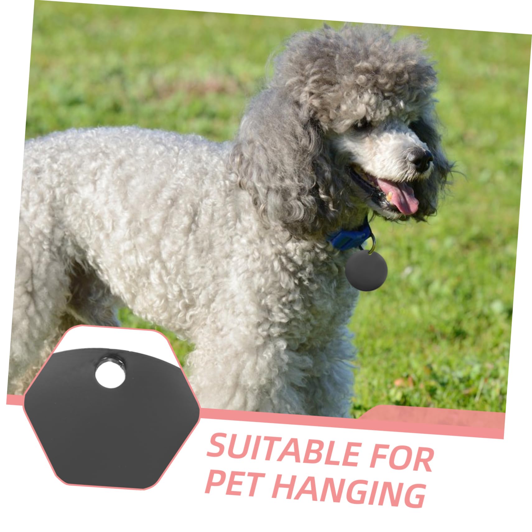 Gadpiparty Liste Des Animaux De Compagnie Animaux De Compagnie Patchs Vierges Pour Pour Chien Petite Médaille Médaille D'Identification Pour Chien Pendentifs Pour Médailles Pour