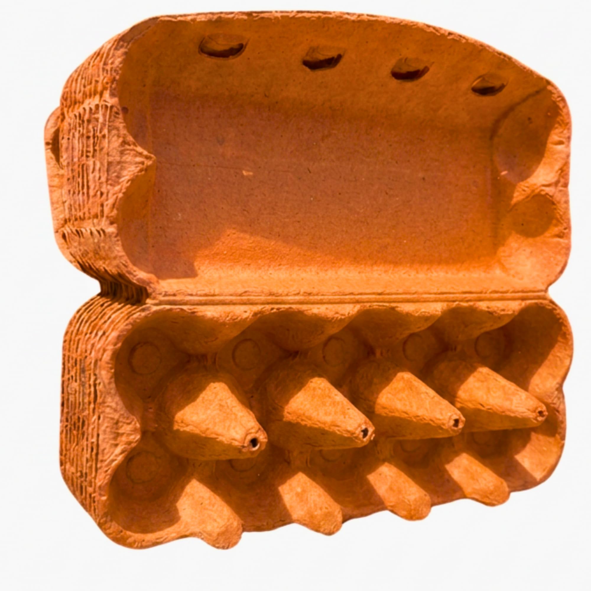 Cajas de cartón para huevos de gallina de 10 unidades | Pack de 115 Ingbertson