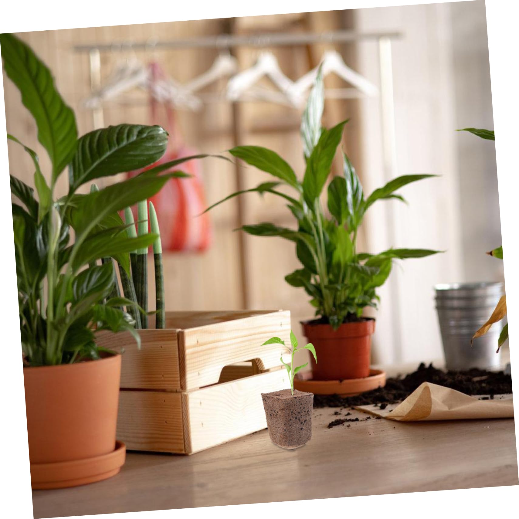 SUPVOX 160pièces Cubes De Culture Soilless Bloc De Germination pour Plantes Supports De Croissance Écologiques pour Transplantation Et Propagation Jardinage