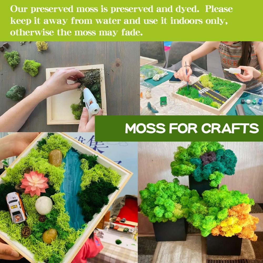 Preserved Moss-1.1lb 4 Color Mix Pack Reindeer Craft Moss, Green Moss Artificial Moss Suitable for Flowerbeds, Crafts, Home Office Artistic Decoration(Green Tones-5)