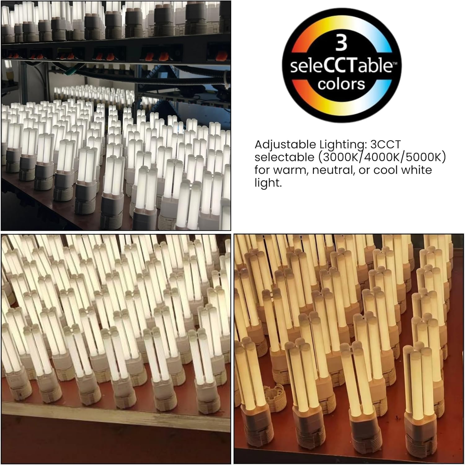 LED PL Lamp, 12W G24Q | 3CCT Selectable 3000K/4000K/5000K | Replaces 26W CFL | Energy-Efficient 120lm/W | Frosted Cover | Long-Lasting 30,000 Hours | (Type B, *Ballast Bypass*)