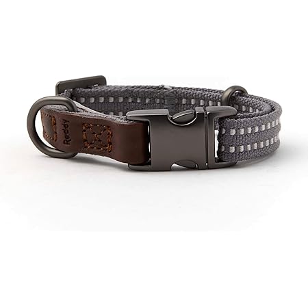 reddy dog harness amazon