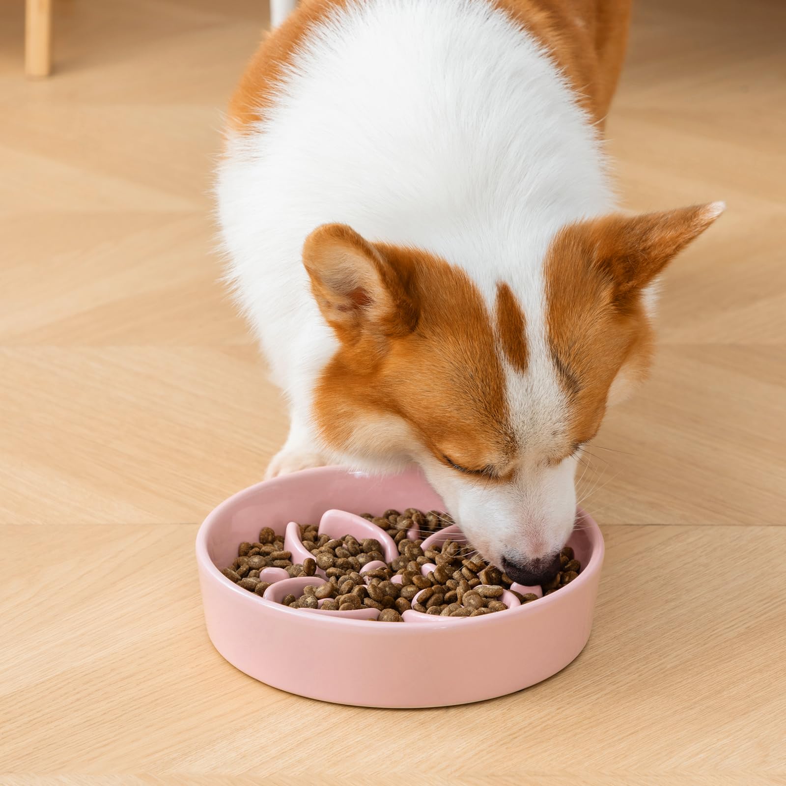 vancasso Comedero Antivoracidad para Perros y Gatos, Plato de Cerámica con Laberinto de Pétalos, Alimentación Lenta y Antideslizante, Bol Calmante e Interactivo, Rosa