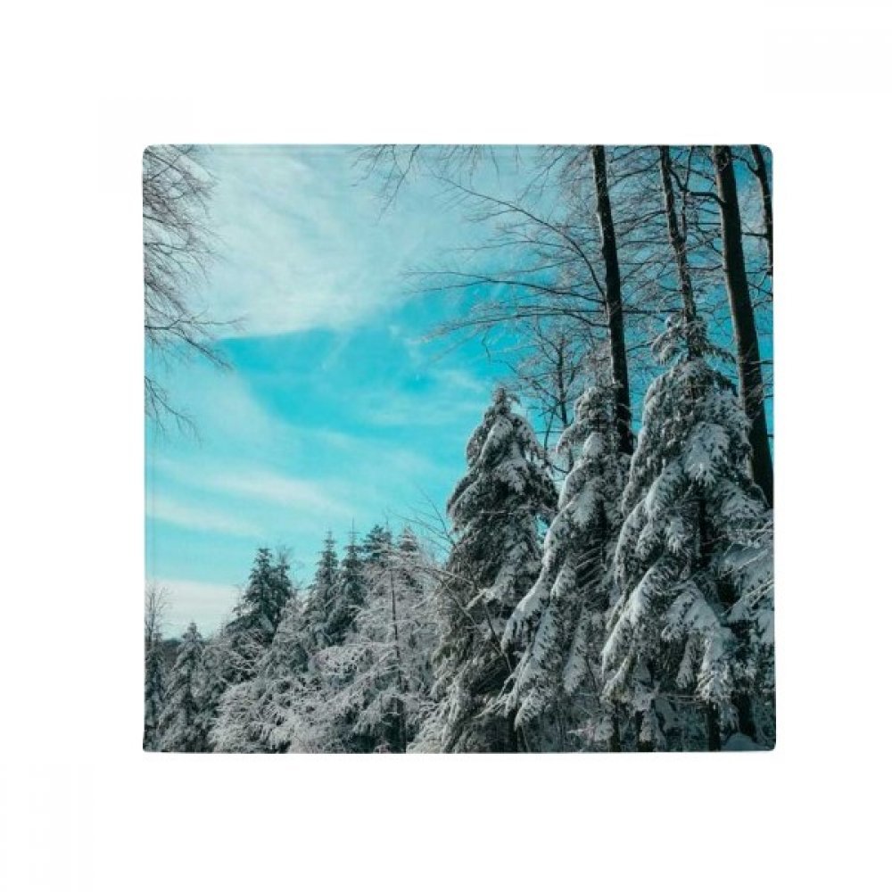 Tapis pet antidérapant pour animaux domestiques avec motif paysage de montagne bleu ciel 60cm
