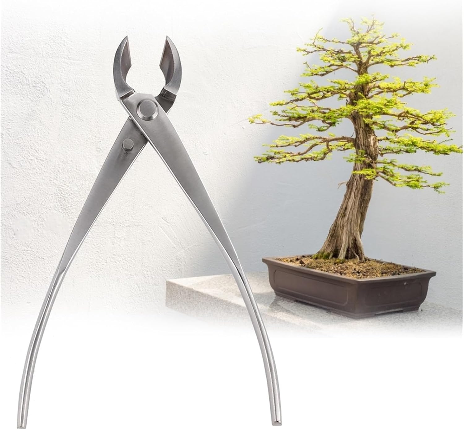 Professional Bonsai Round Edge Cutter, Stainless Steel Branch Pruning Tool for Bonsai Trees, Heavy Duty Garden Cutting Tool with Anti-Rust Coating