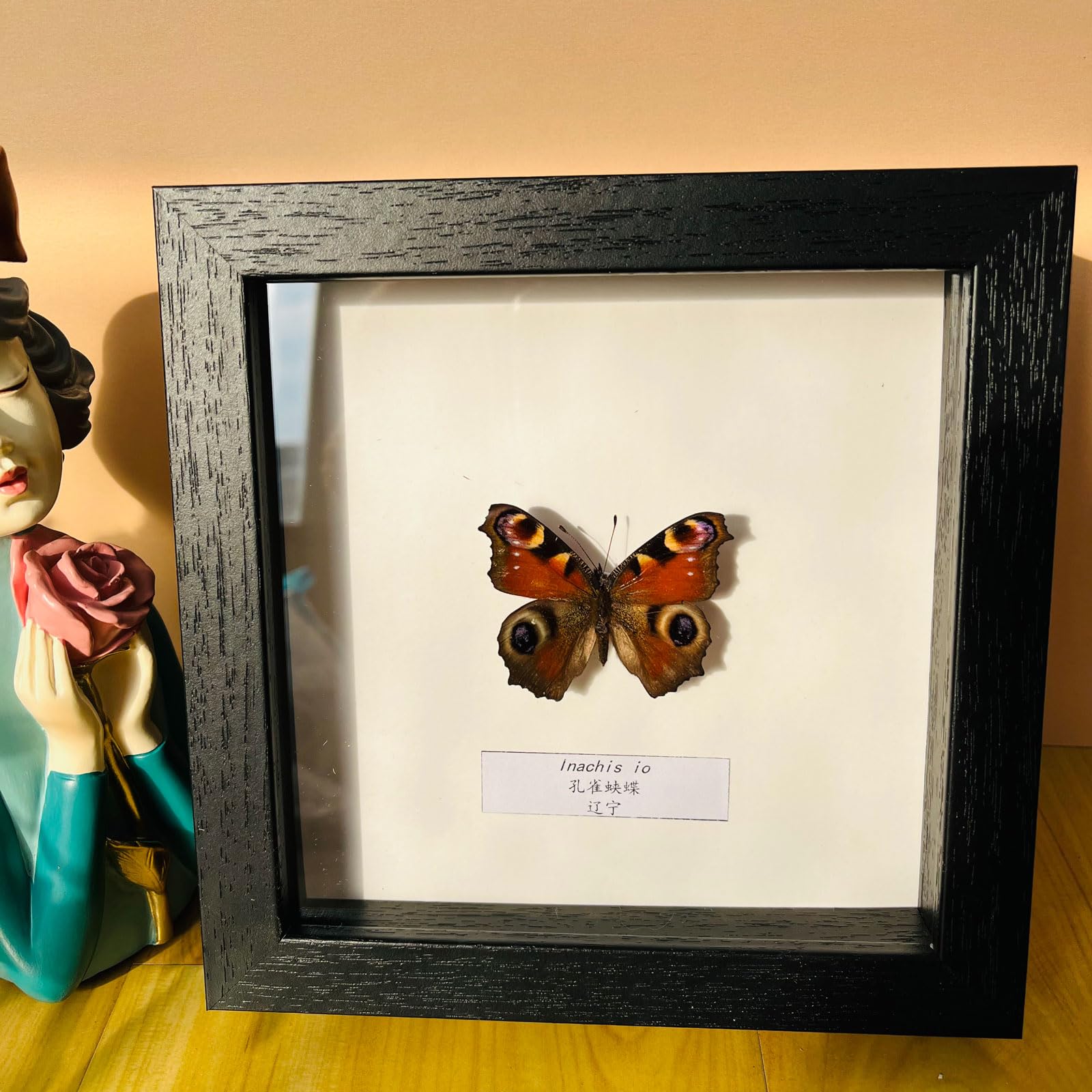 Taxidermy Mounted In Frame,Exquisite Butterflies Insect Specimen,Collection Of Butterfly,Unique Home Decor Wall Decoration Gift For Christmas Valentine Birthday,Real Butterfly Specimens17.6*17.6cm