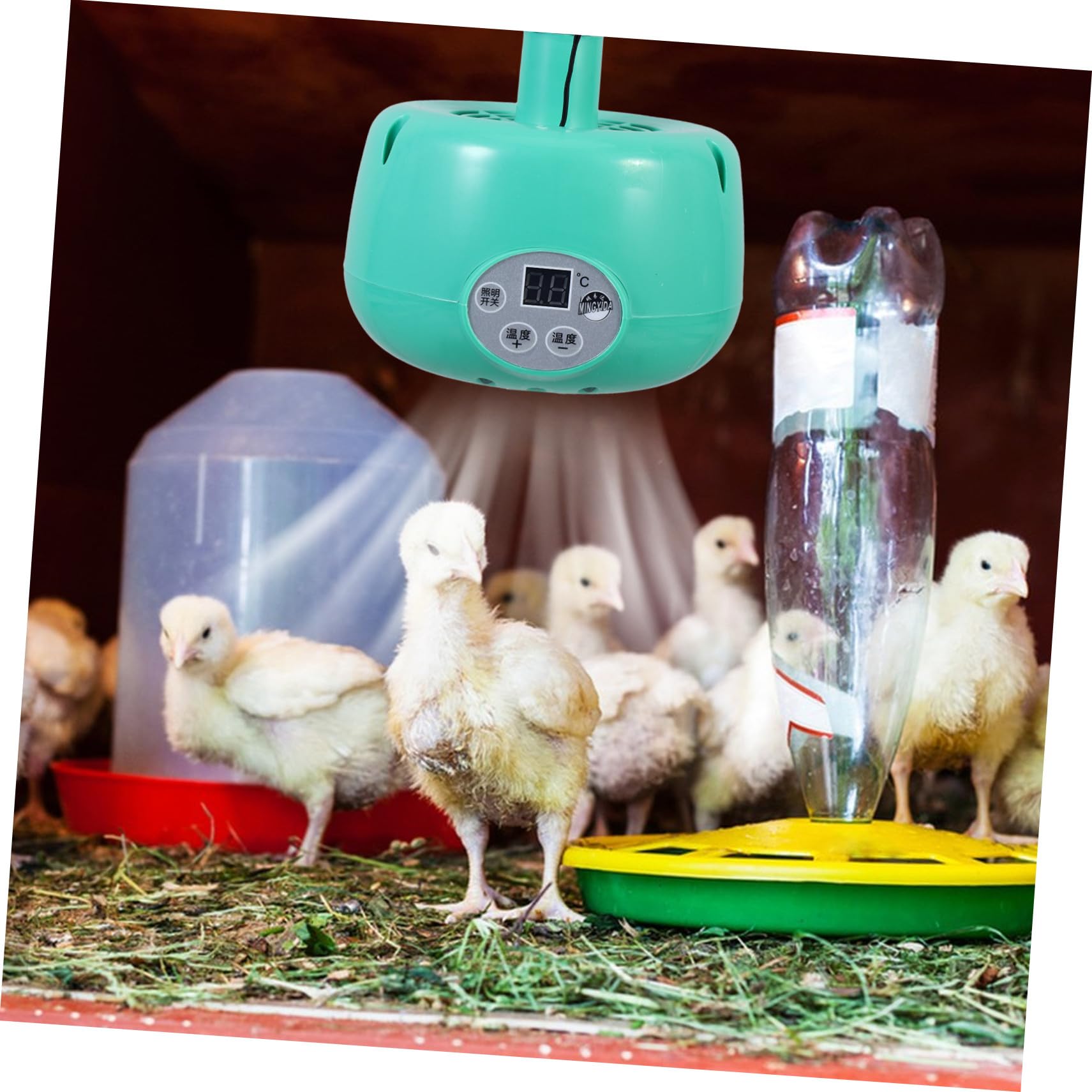 ORFOFE Lampada Riscaldante Temperatura Regolabile, 1 Pezzo | Emettitore di Calore per Uccelli e Criceti, Plastica e Metallo, Verde, Uso Sicuro
