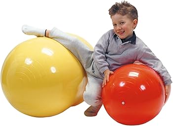 gymnic Physio Roll バランスボール 70cm 楽天市場】ギムニク バランスボール フィジオロール70 70cm