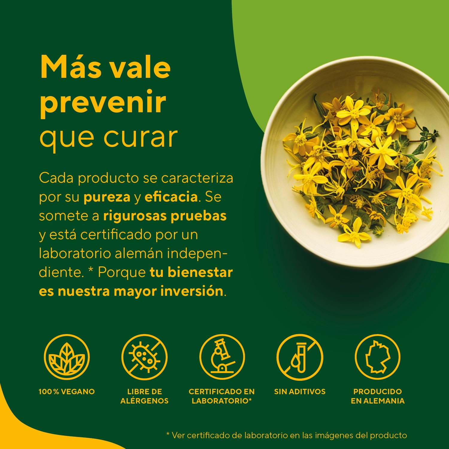 Hipérico Hierba de San Juan Extracto - 5000mg al día - 240 cápsulas - Alta Concentración - con hipericina natural - con vitaminas B6, B12 y ácido fólico - TRUE NATURE®