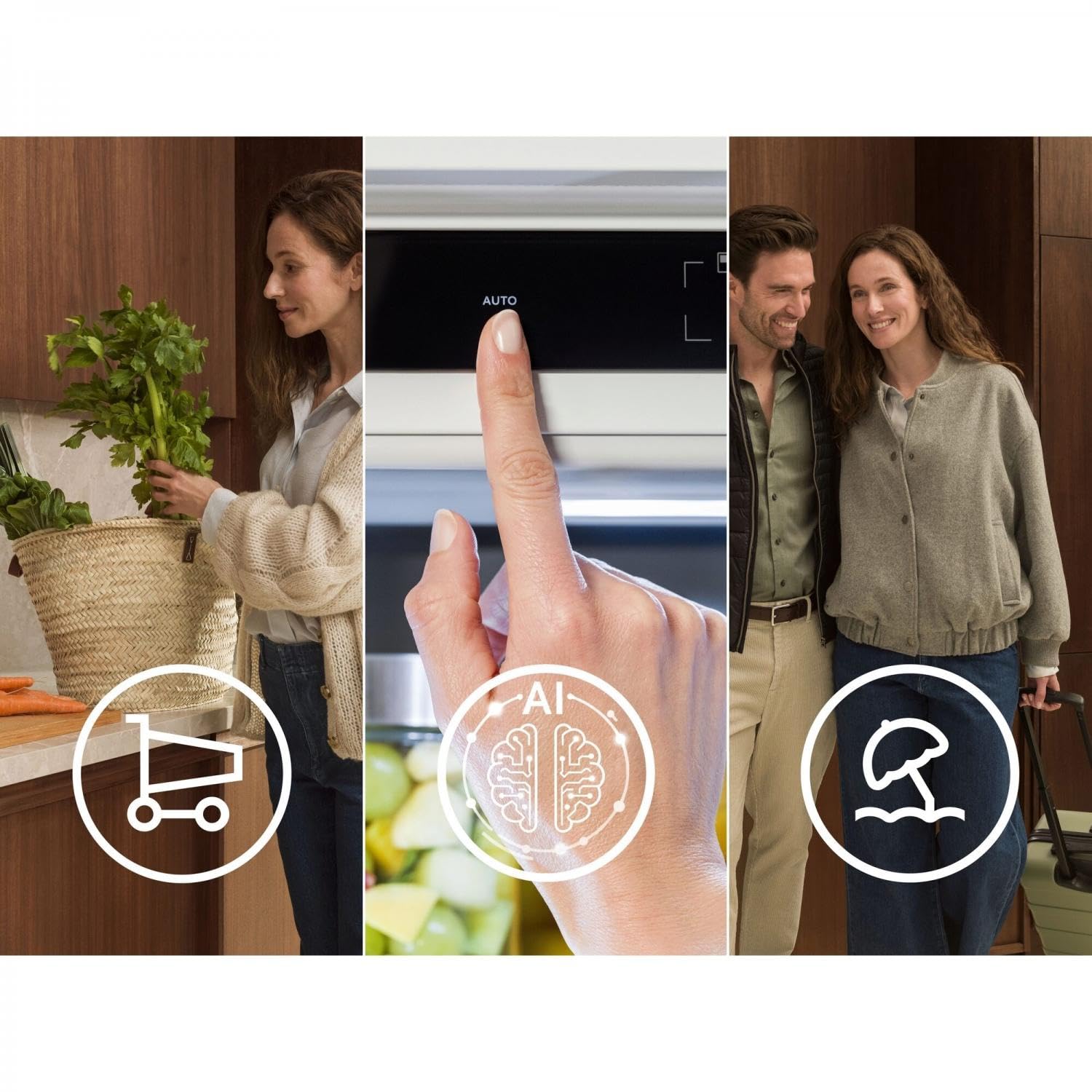 Electrolux LNA6LE18S - Réfrigérateur combiné installation encastrable 271 litres Classe énergétique E