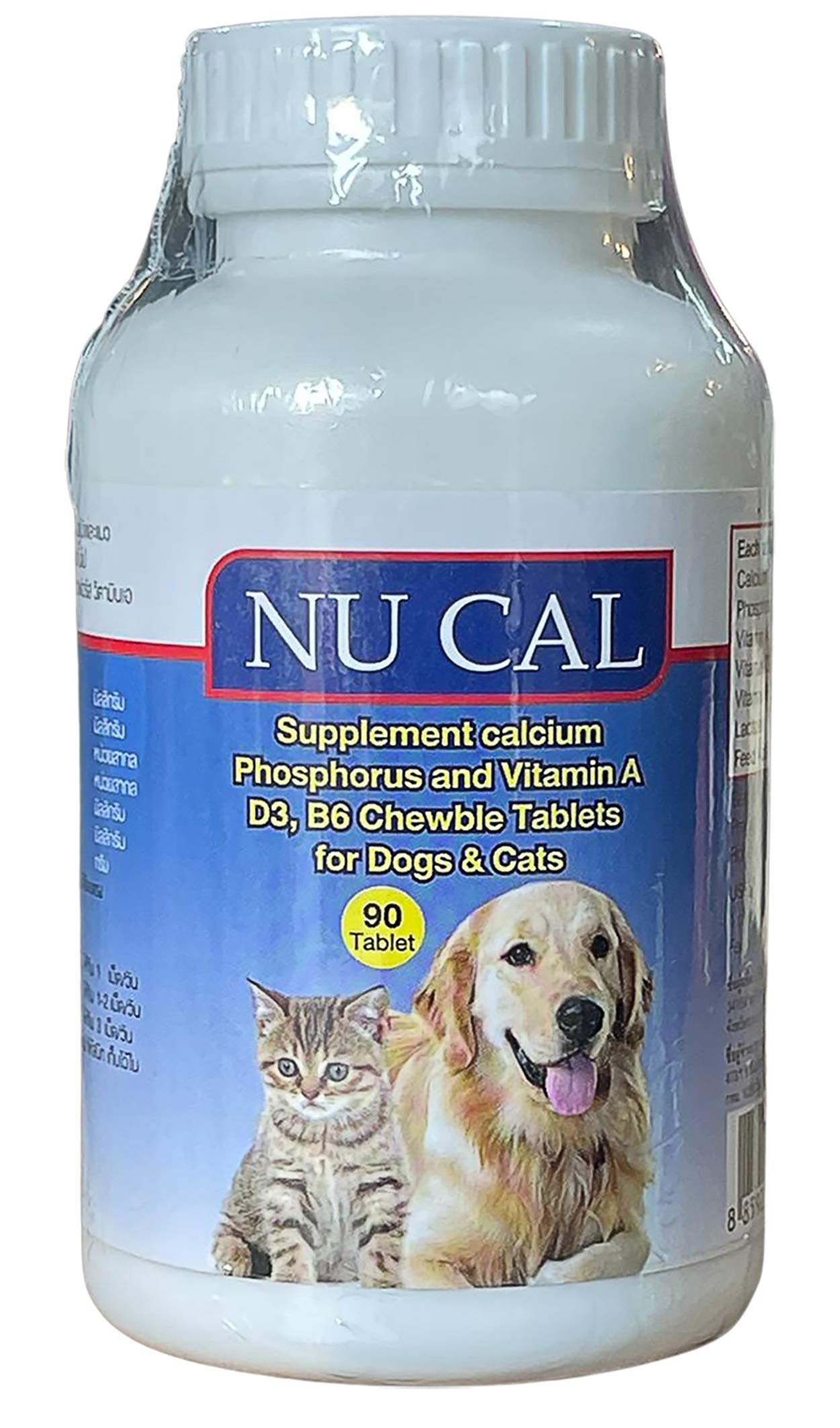 Should I Give My Pregnant Dog Calcium