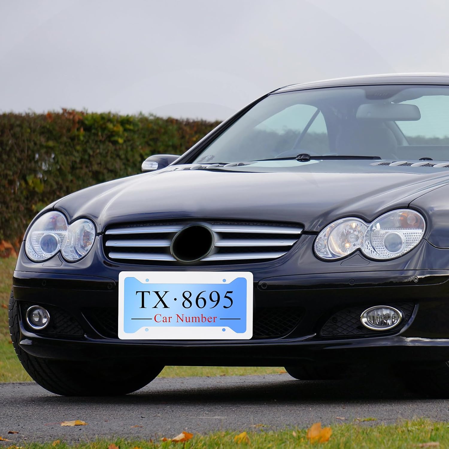 Muka 10PCS Custom License Plate, Personalized License Plate for Front of Car, Metal Aluminum Auto Tag for Design Text Image