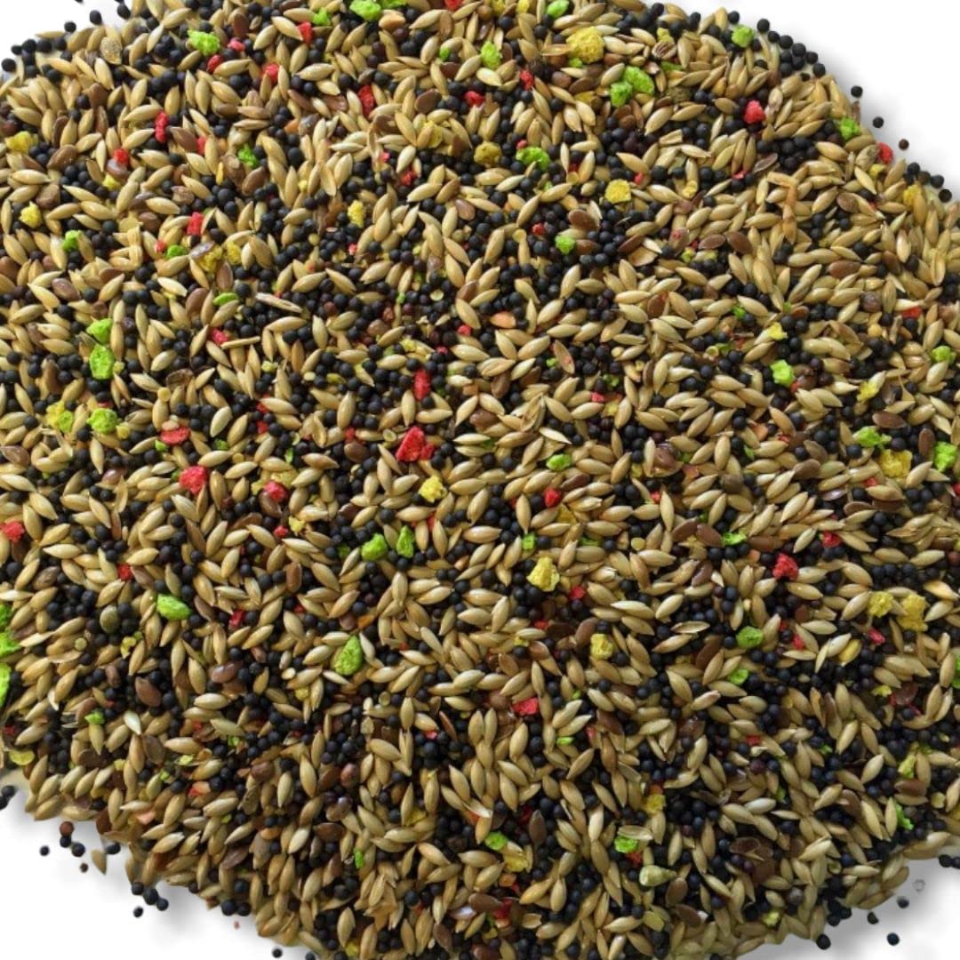 Comida para Canarios, Jilgueros y Silvestres Natural sin Avena 5Kg