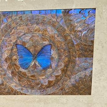 モルフォ蝶 羽絵 アート アンティーク インテリア 額装 羽細工 蝶標本 壁掛け モルフォ蝶 羽絵 アート アンティーク インテリア 額装 羽細工