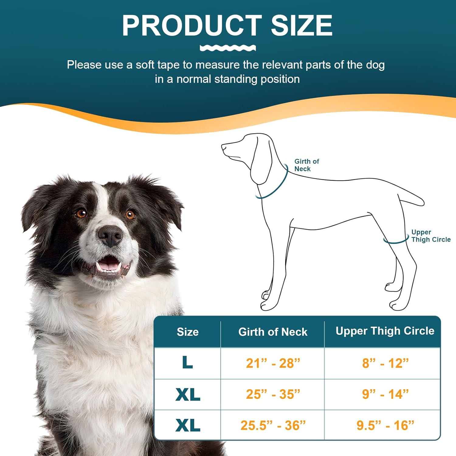 Dog Hip Brace with Hot/Cold Compress, Support for Hip Dysplasia, Arthritis, Back Leg limping, Prevents Hip Joint Issues, Reduce Hip Pain etc(Male Dog, XL)