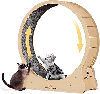 Hamster Wheel For Dogs Picks collage image 1