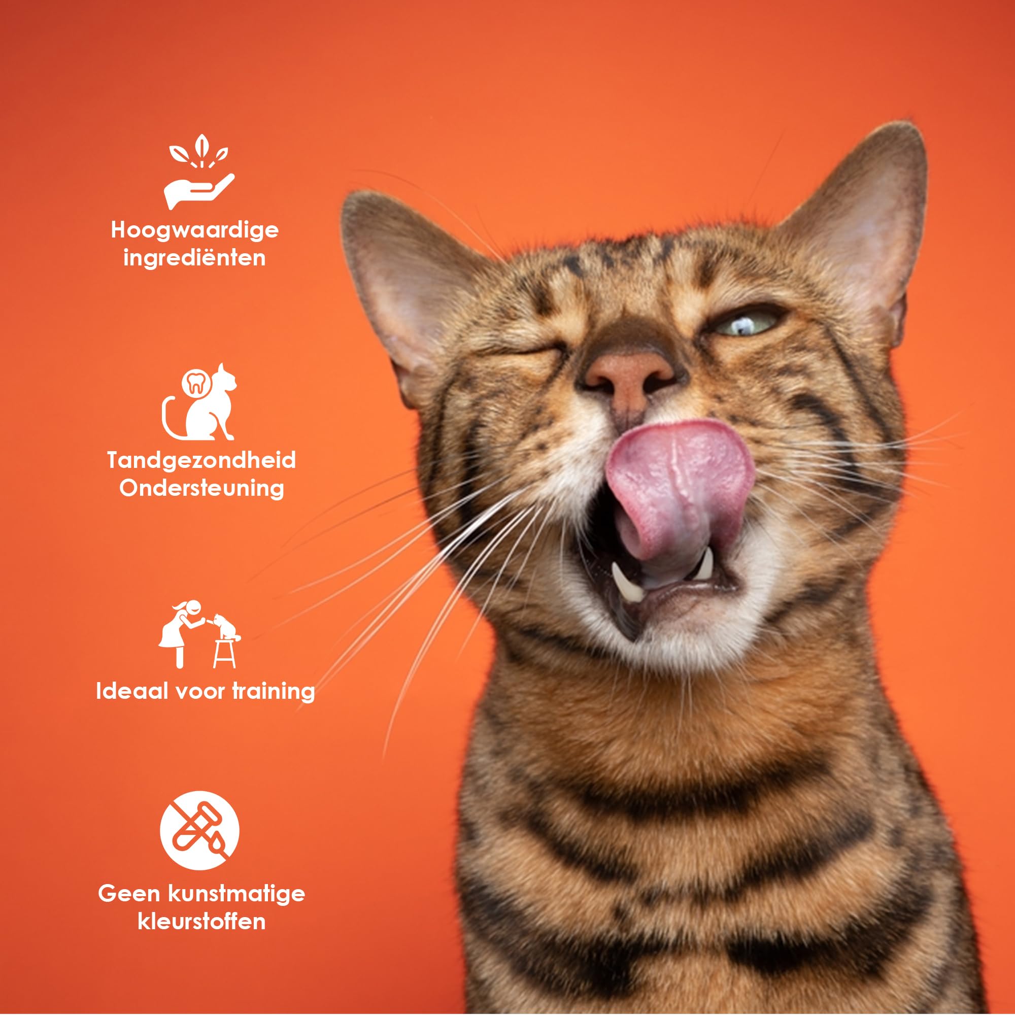 Mega Offre avec 9 Sacs de Snacks pour Chat Au Poulet | Sans Céréales Sans Sucre Ajouté | 85G Par Sac | Friandise Idéale Pour Chats Riches En Protéines, Délicieuses Et Saines Avec Ingrédients