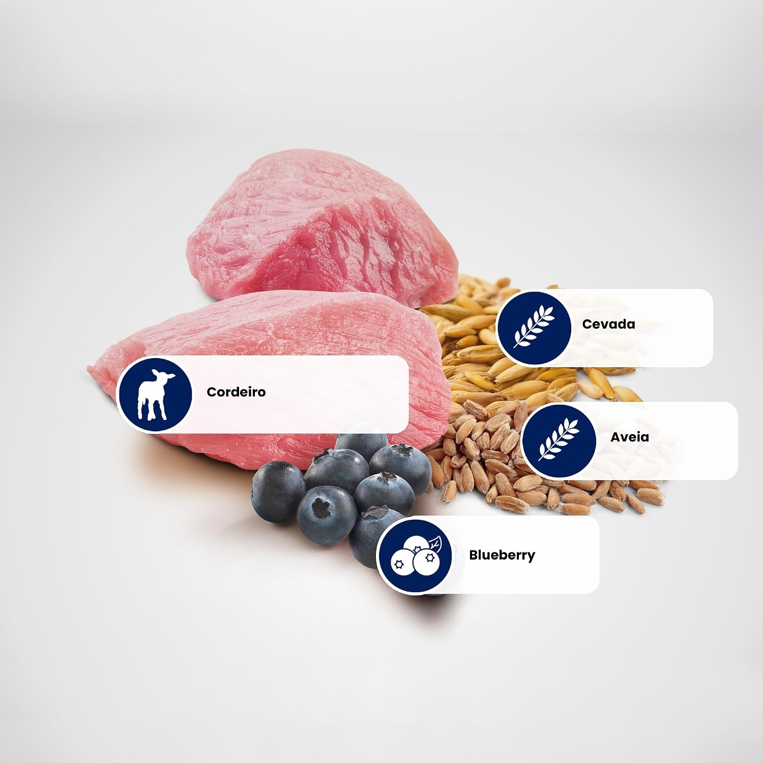 N&D Ancestral para Cães Adultos de Raças Mini e Pequenas Sabor Cordeiro, Blueberry, Aveia e Cevada 10,1Kg N&D Ancestral para Cães Adultos de Raças Mini e Pequenas Sabor Cordeiro, Blueberry, Aveia e Cevada 10,1Kg