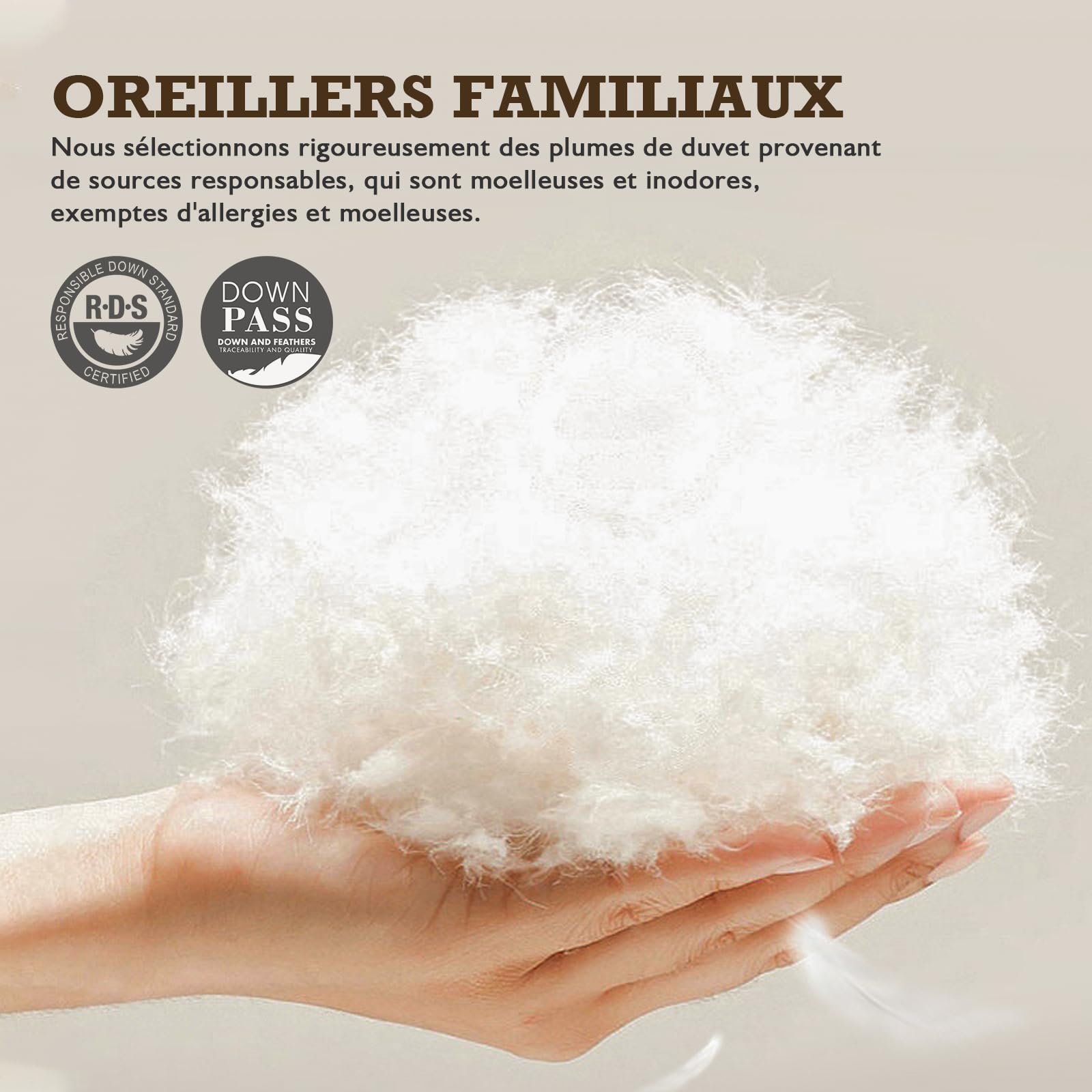 BPC Duvet de Plumes Bio Oreiller 60x60 Lot de 2, Oreiller d'hôtel Luxueux à 3 Chambres, Oreiller 60x60 cm Duvet avec Housse 100% Coton et garnissage en Plumes d'oie, Blanc