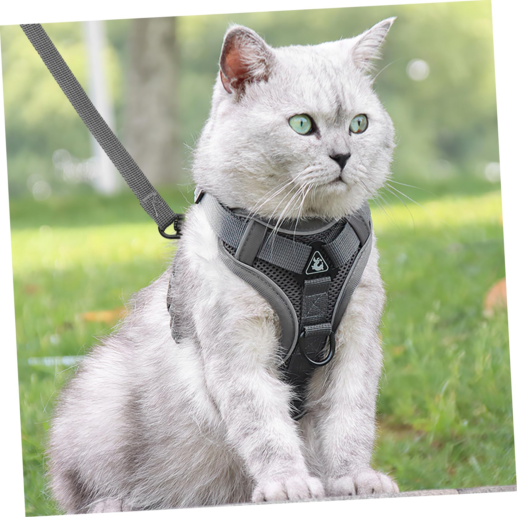 INOOMP 5piezas Arnés De Pecho Reflectante y Transpirable para Perros y Gatos Arnés Correa para Paseos Al Aire