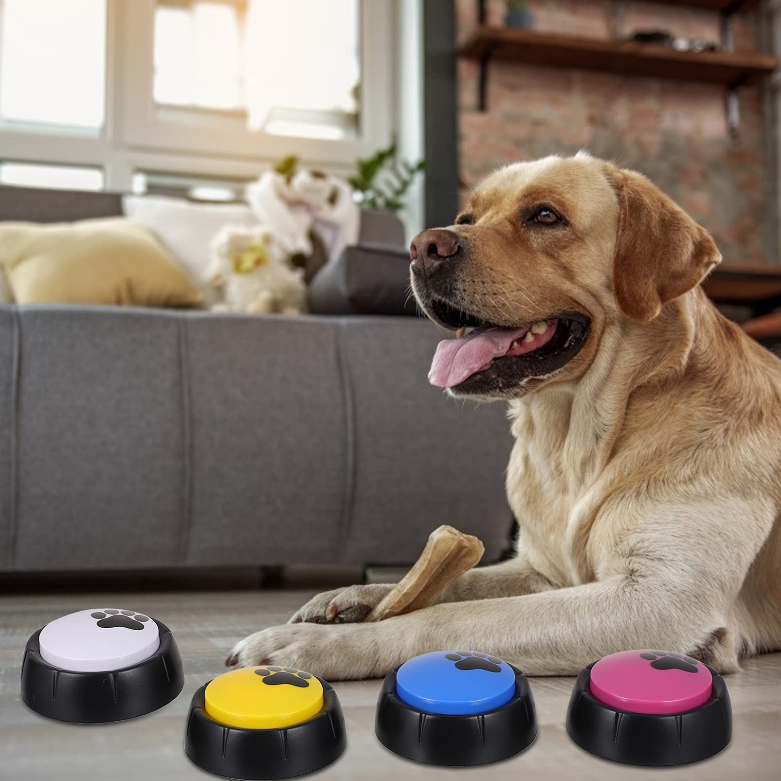 Ausilio per L'addestramento del Cane Confezione da 4 Pulsanti di Registrazione Vocale per Animali Domestici per Distrarsi E Creare